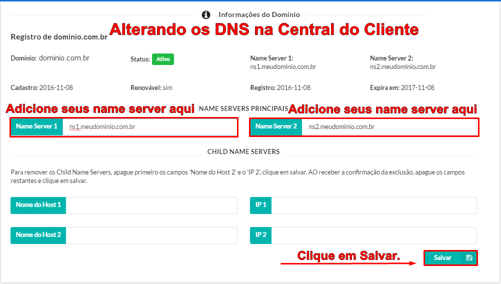 Como alterar os DNS na Central do Cliente